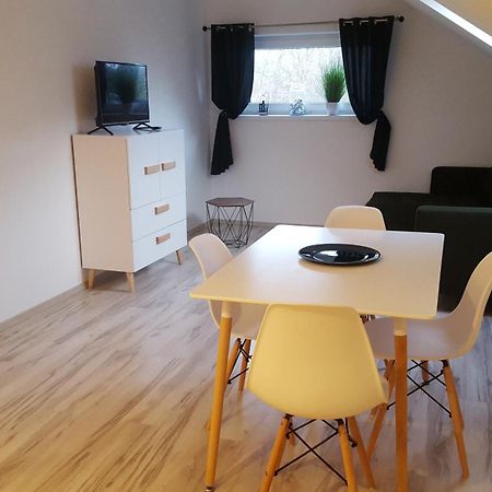 Apartamenty - Pod Wierzbami Dwikozy Номер фото